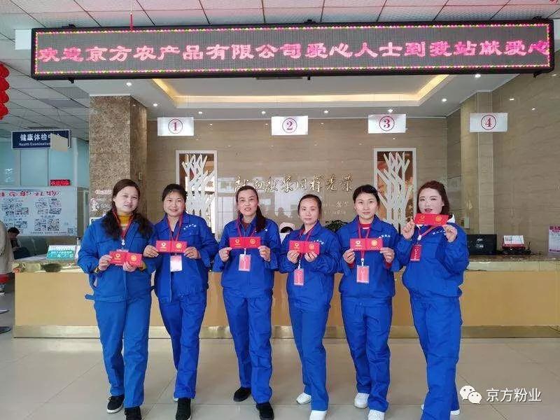 5.8世界红十字日 草莓SOLO视频下载人在行动